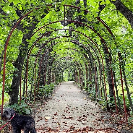 20 M2 Centrum Parking Za Darmo * Sopot