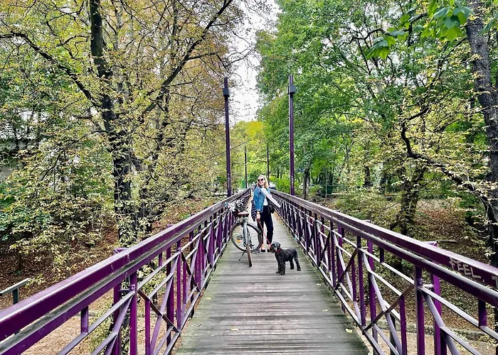 20 M2 Centrum Parking Za Darmo Lägenhet