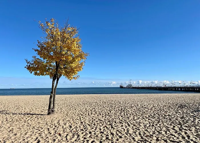 Lägenhet 20 M2 Centrum Parking Za Darmo *